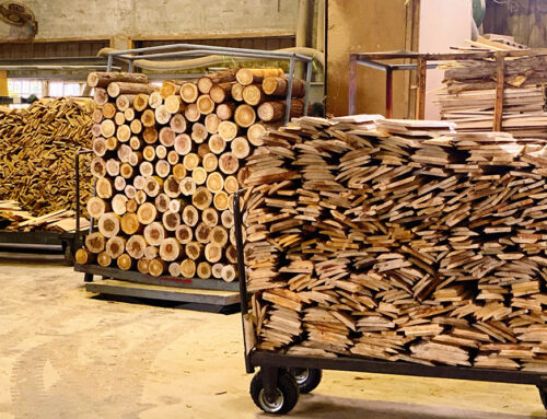 國產木材轉型，從禁伐到提高自給率。｜獨立特派員 第727集 (國產材的前世今生)
