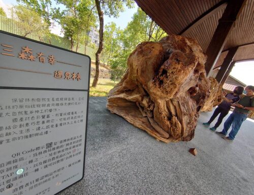 「三森有幸 遇見林」 國產材推廣展開展